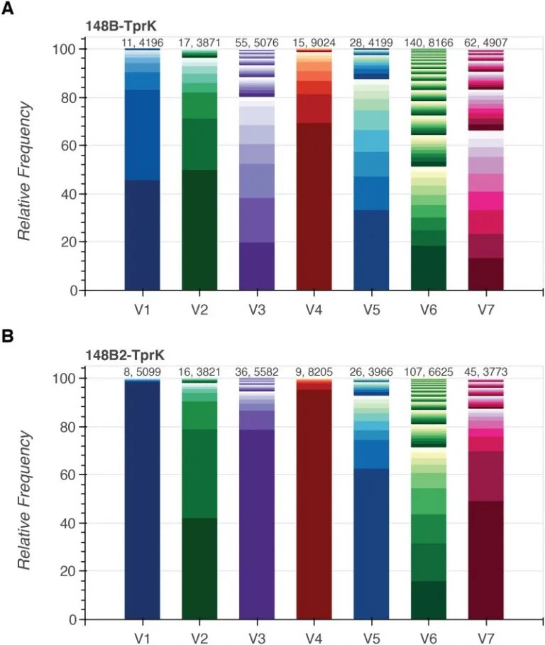 Comparative genomics and full-length Tprk profiling of Treponema pallidum subsp. pallidum reinfection