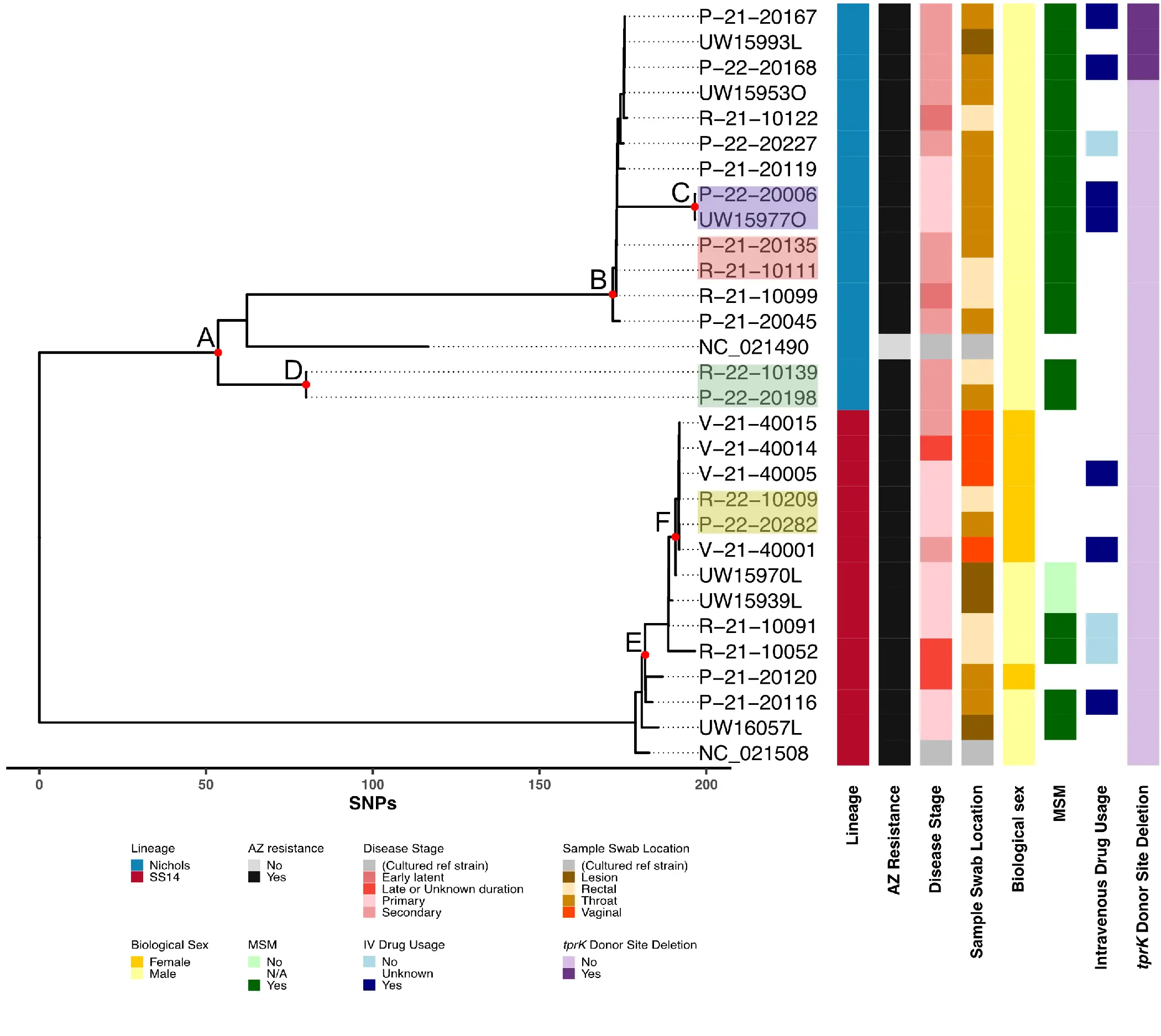 Genomic Epidemiology of Treponema pallidum and Circulation of Strains With Diminished tprK Antigen Variation Capability in Seattle, 2021-2022