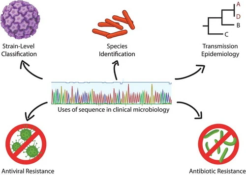 The challenge of diagnostic metagenomics