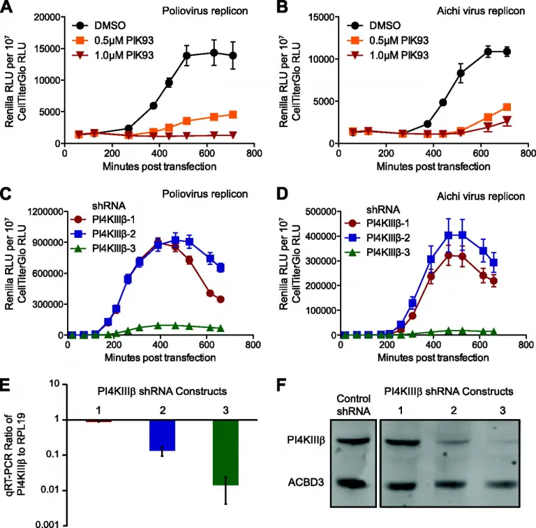 The 3A Protein from Multiple Picornaviruses Utilizes the Golgi Adaptor Protein ACBD3 to Recruit PI4KIIIB